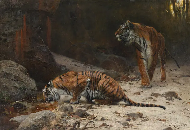 Tiger vid ett vattenhål av Wilhelm Kuhnert