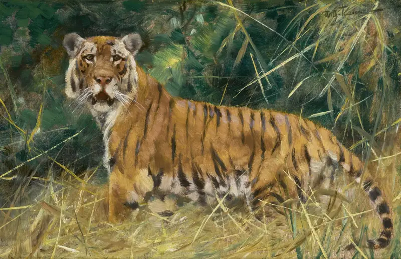 Tiger på vakt av Wilhelm Kuhnert