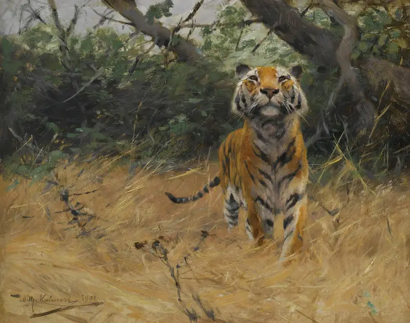 Tiger On The Watch av Wilhelm Kuhnert