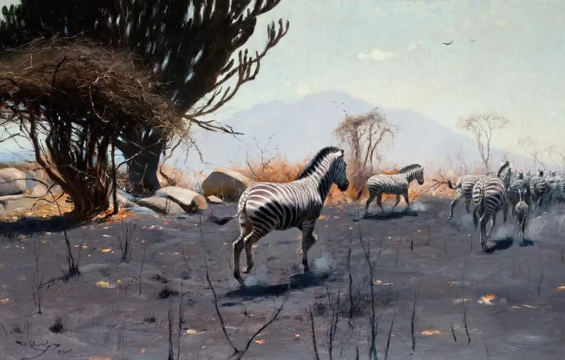 Zebras av Wilhelm Kuhnert