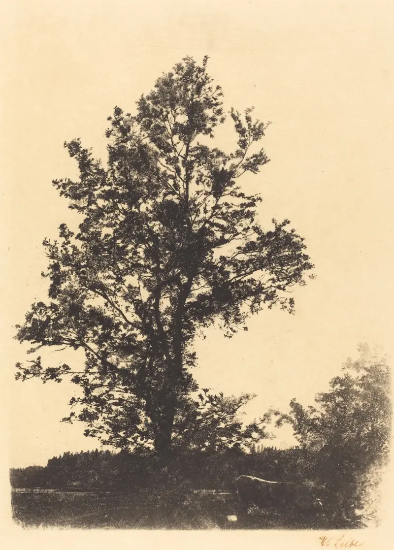Velký strom, Wilhelm Leibl