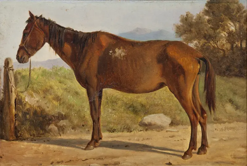 Rosinante (Studie eines alten stehenden Pferdes) von Wilhelm Marstrand