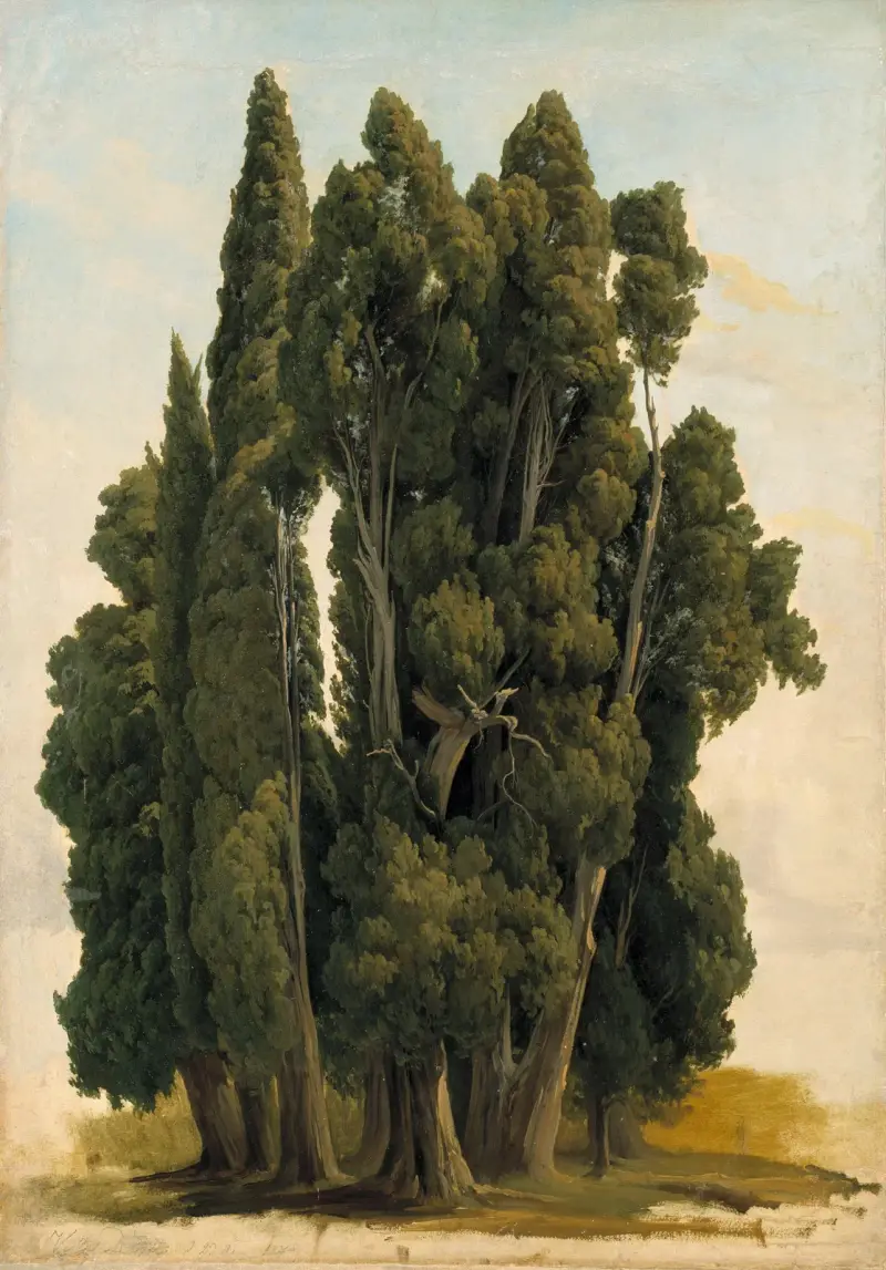 Cypresses. Study av Gustaf Wilhelm Palm