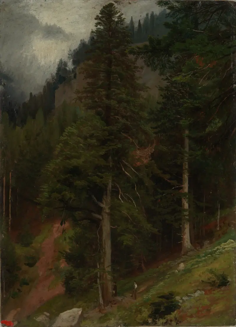 Sluttning i granskog av Johann Wilhelm Schirmer