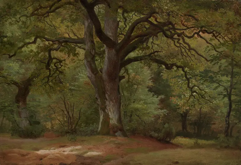 Ekskog i Solling av Johann Wilhelm Schirmer