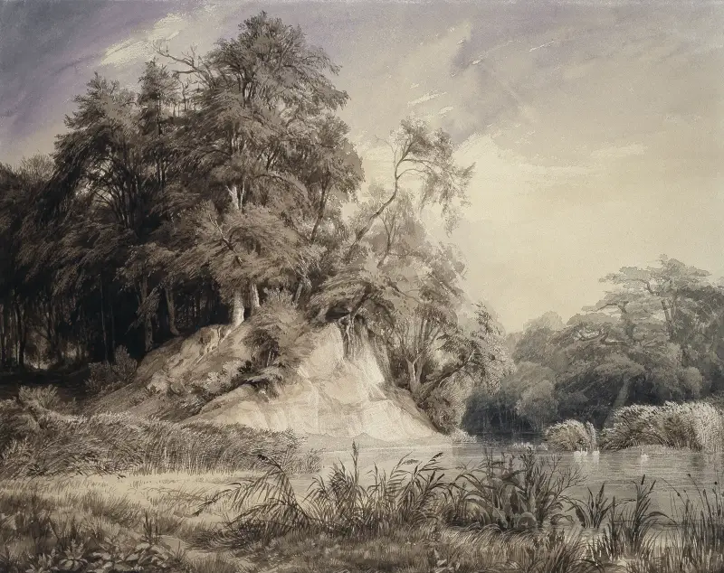 Skogslandskap med sjö och svanar av Johann Wilhelm Schirmer