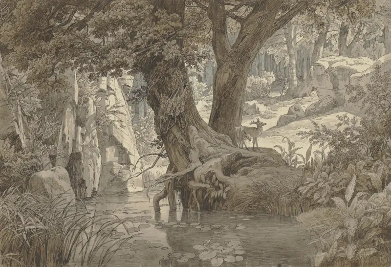 Lesní krajina, Johann Wilhelm Schirmer