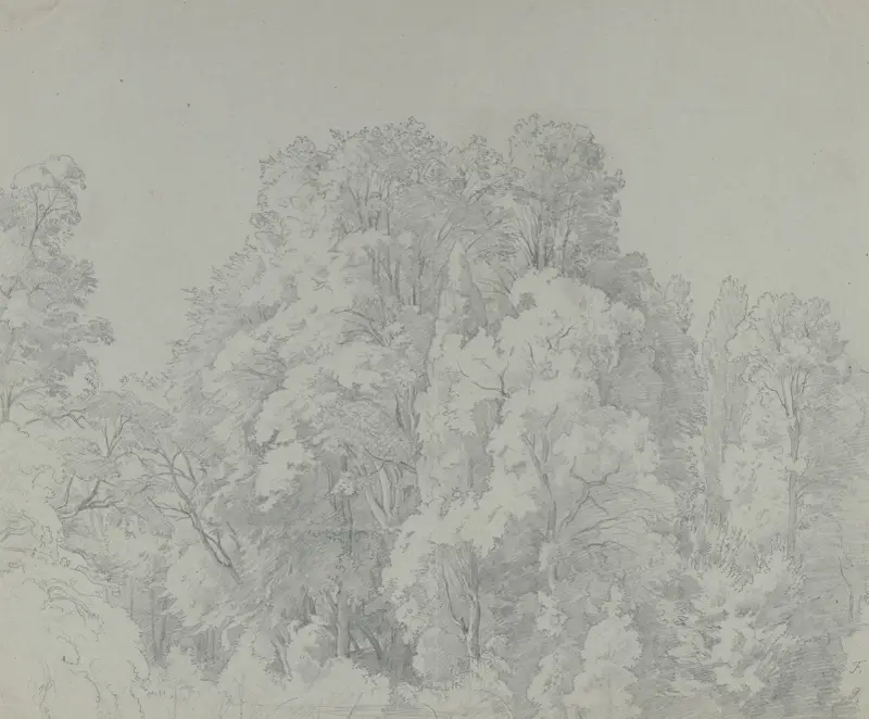 Waldstück von Johann Wilhelm Schirmer