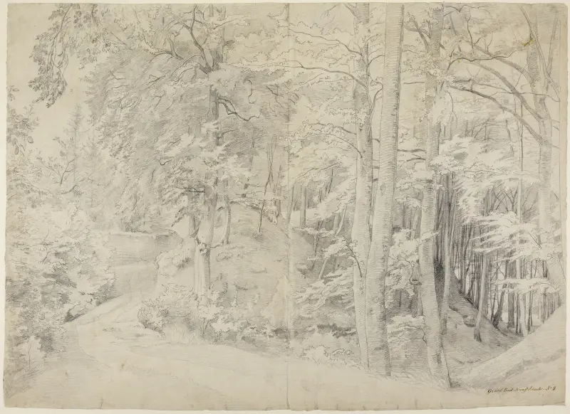 I bokskogen av Johann Wilhelm Schirmer
