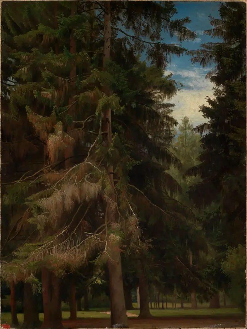 Glänta i granskog av Johann Wilhelm Schirmer
