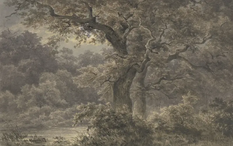 Eichen im Wald von Johann Wilhelm Schirmer
