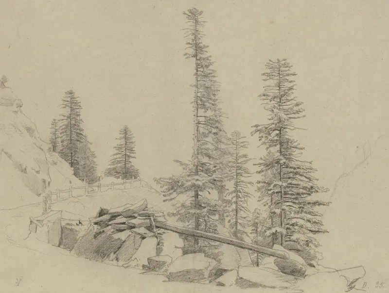 Fichten an der Via Mala von Johann Wilhelm Schirmer