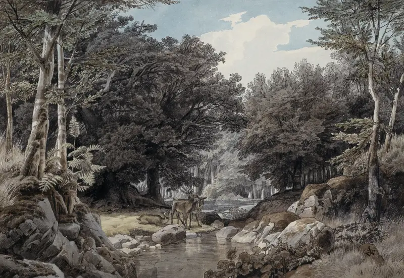 Skogsinteriör med hjortar vid vattnet av Johann Wilhelm Schirmer