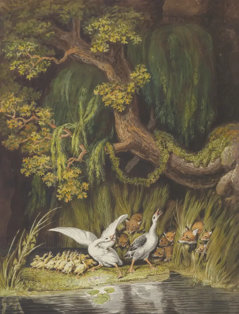 A Goose and a Gander with their Goslings Honking in Alarm as Two Foxes with their Cubs Emerge from the Rushes av Johann Heinrich Wilhelm Tischbein