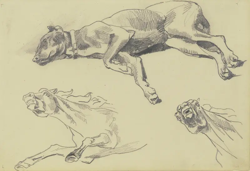 Studienblatt; Die Dogge Cäsar, auf der Seite liegend nach links, schlafend; darunter zwei Pferdestudien in starker Untersicht av Wilhelm Trübner