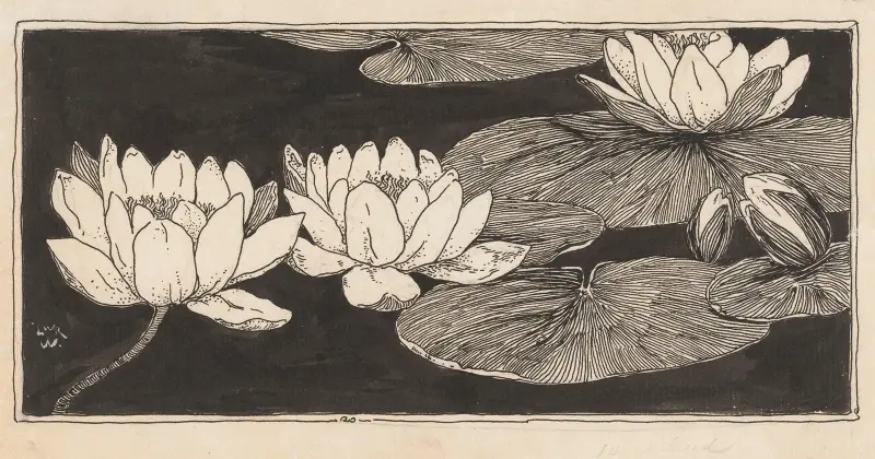 Näckrosor av Willem Wenckebach