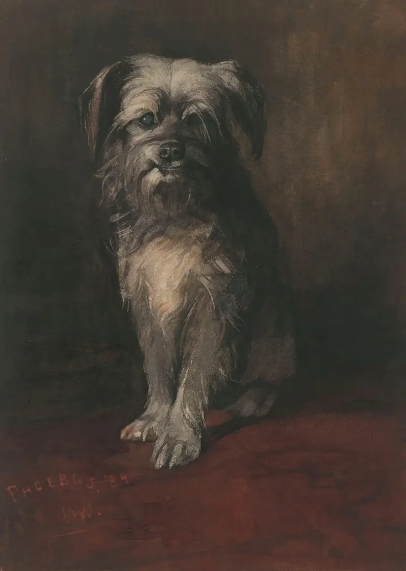 Portrait of the Dog Phoebus av Willem Witsen