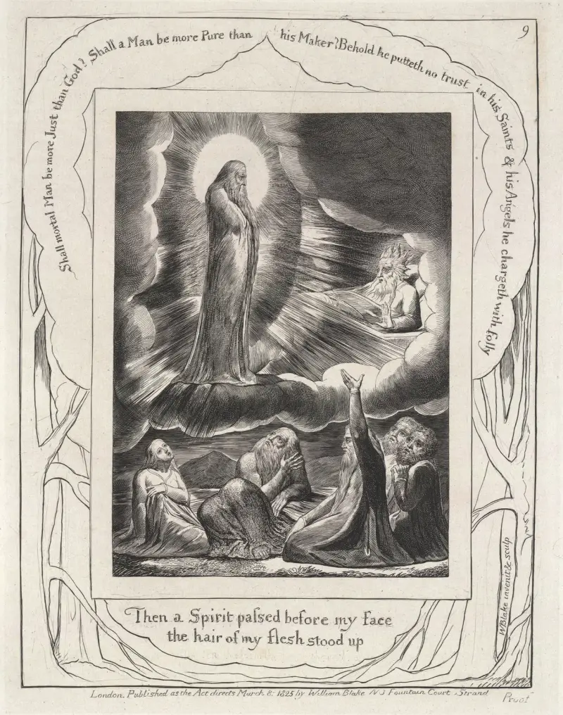 Illustrations of the book of Job Pl.10 av William Blake