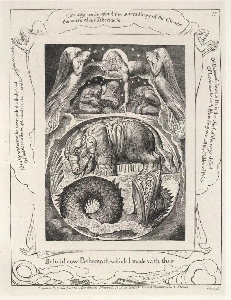 Illustrations of the book of Job Pl.16 av William Blake