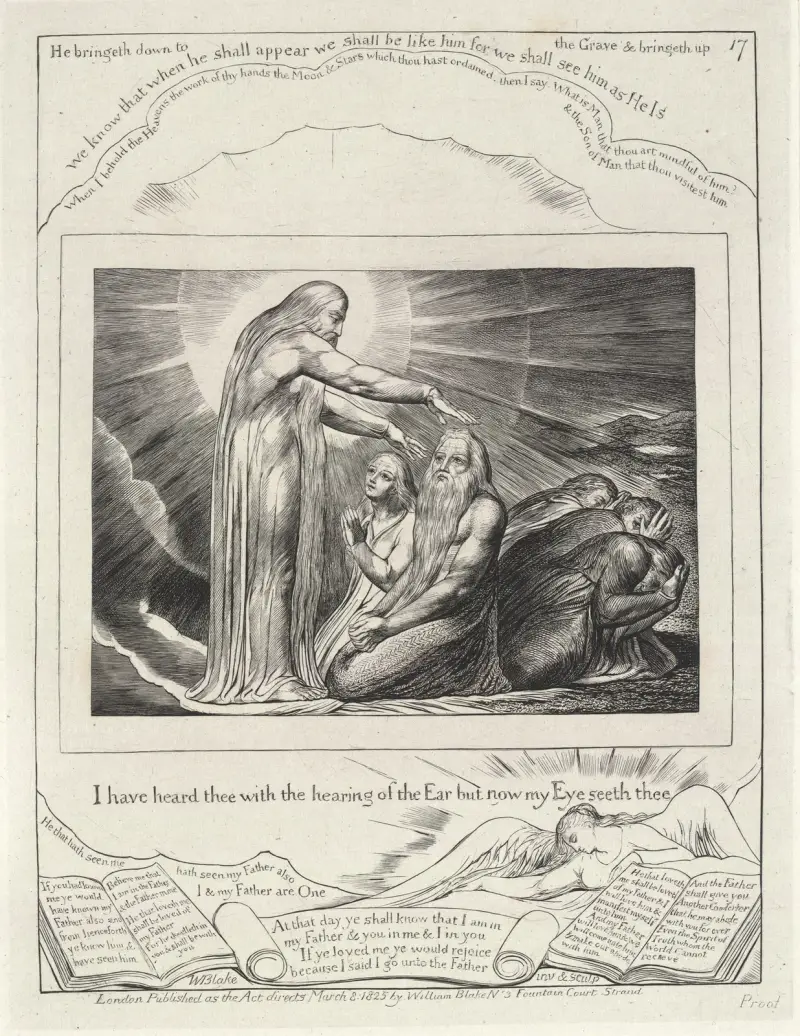Illustrations of the book of Job Pl.18 av William Blake