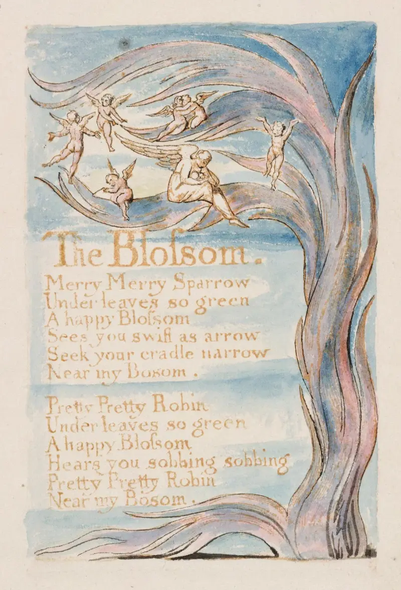 Pl. 17 – Květ, William Blake