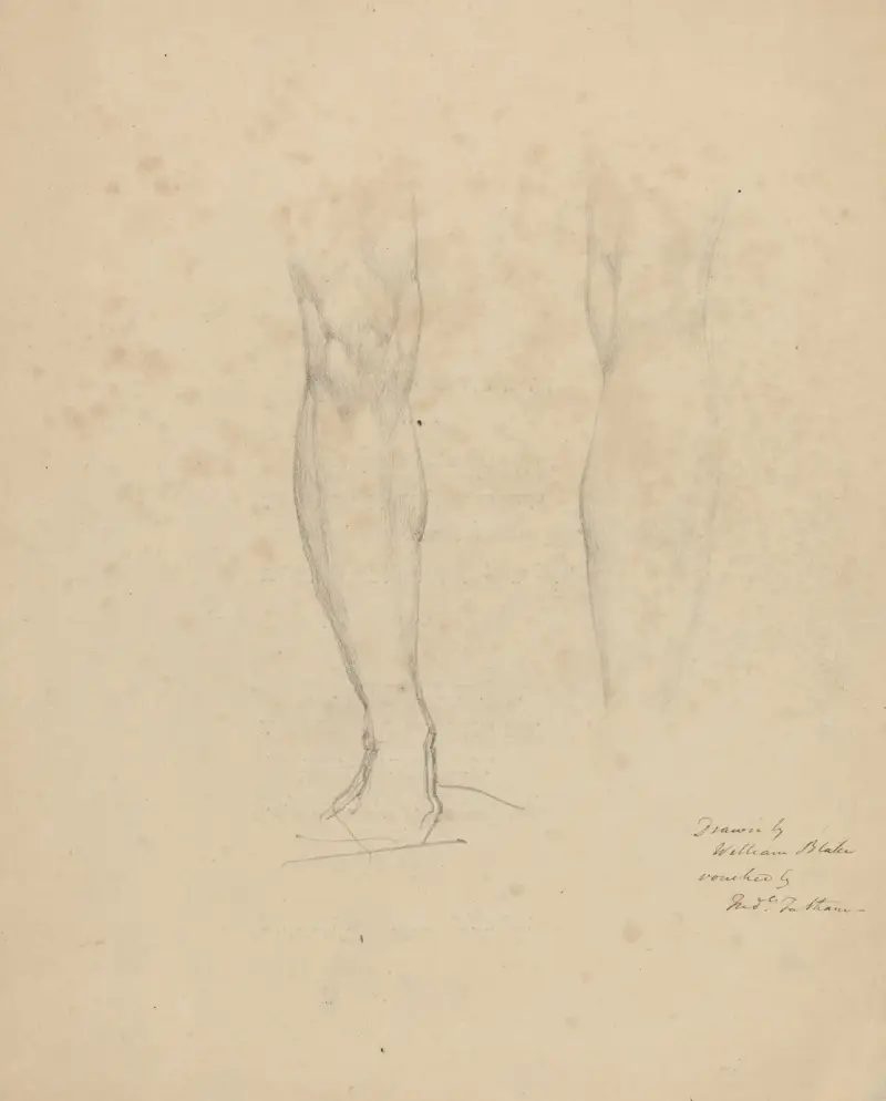 Dvě nohy, William Blake