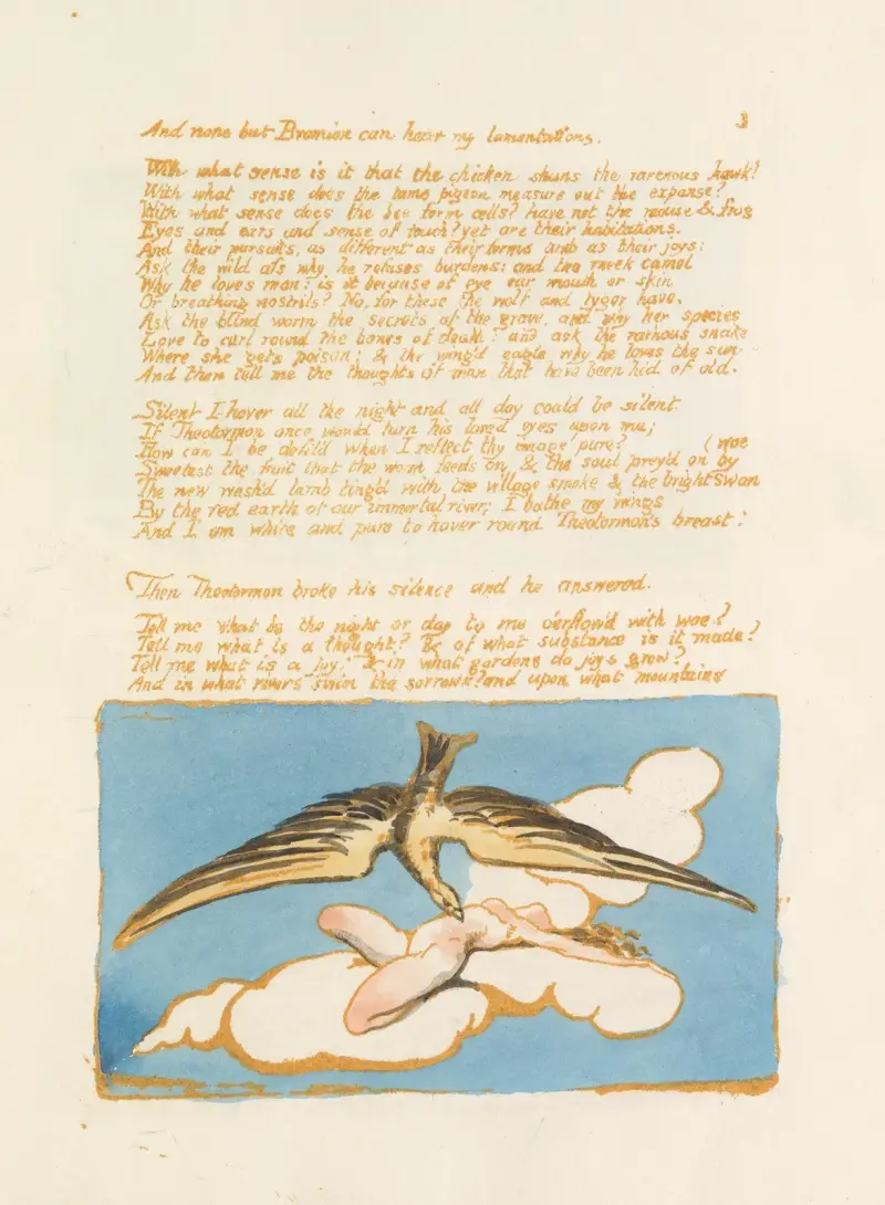 Visions of the daughters of Albion Pl. 05 av William Blake