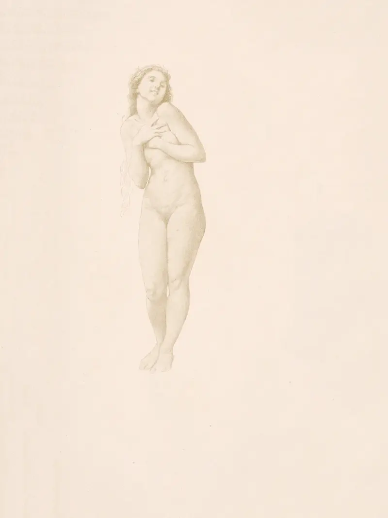 Studie einer Frau – Nr. 4 von William Bouguereau