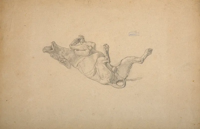 Studie av hund av William Bouguereau