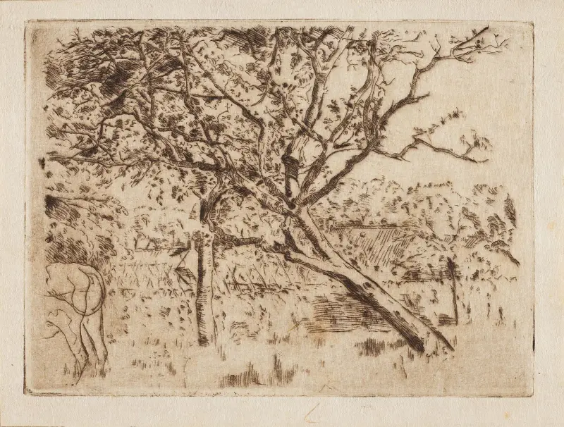 Ovocný sad, Alfred William Finch