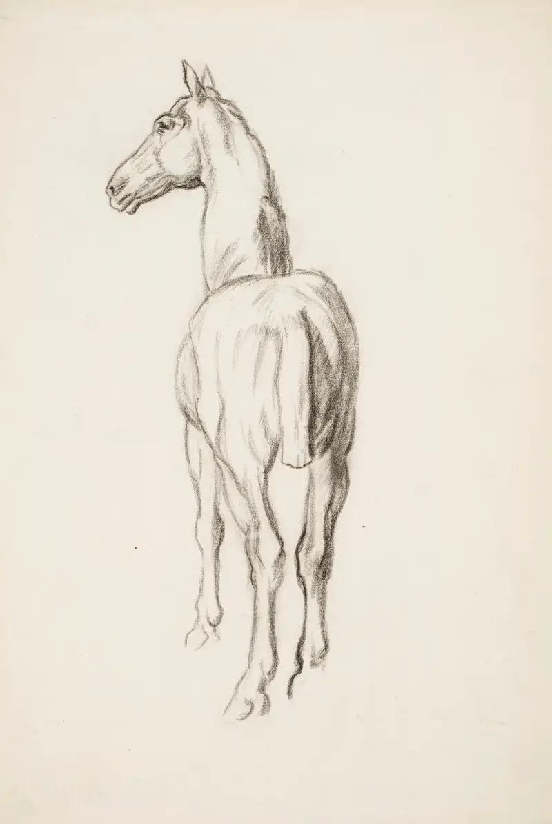 Pferdestudie von Alfred William Finch