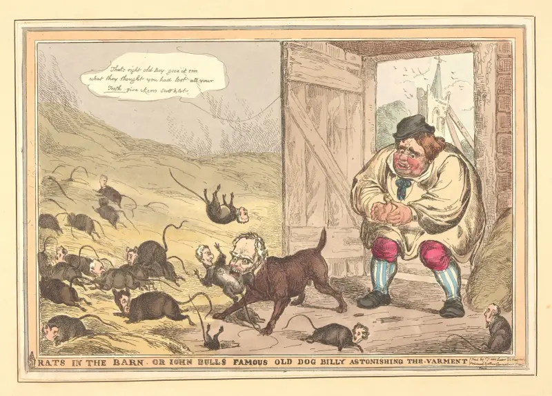 Råttor i ladugården, eller John Bulls berömda gamla hund Billy som förvånar skadedjuren. av William Heath