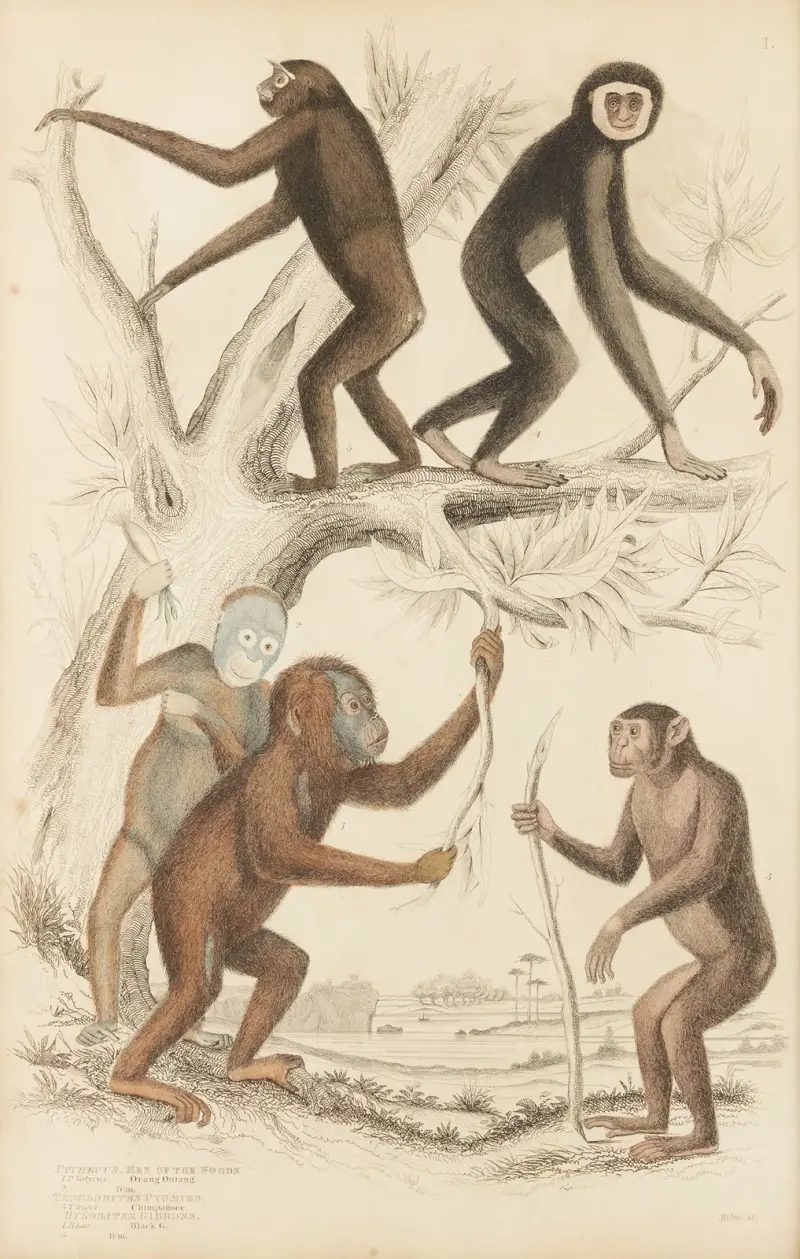 Men of the woods av William MacGillivray