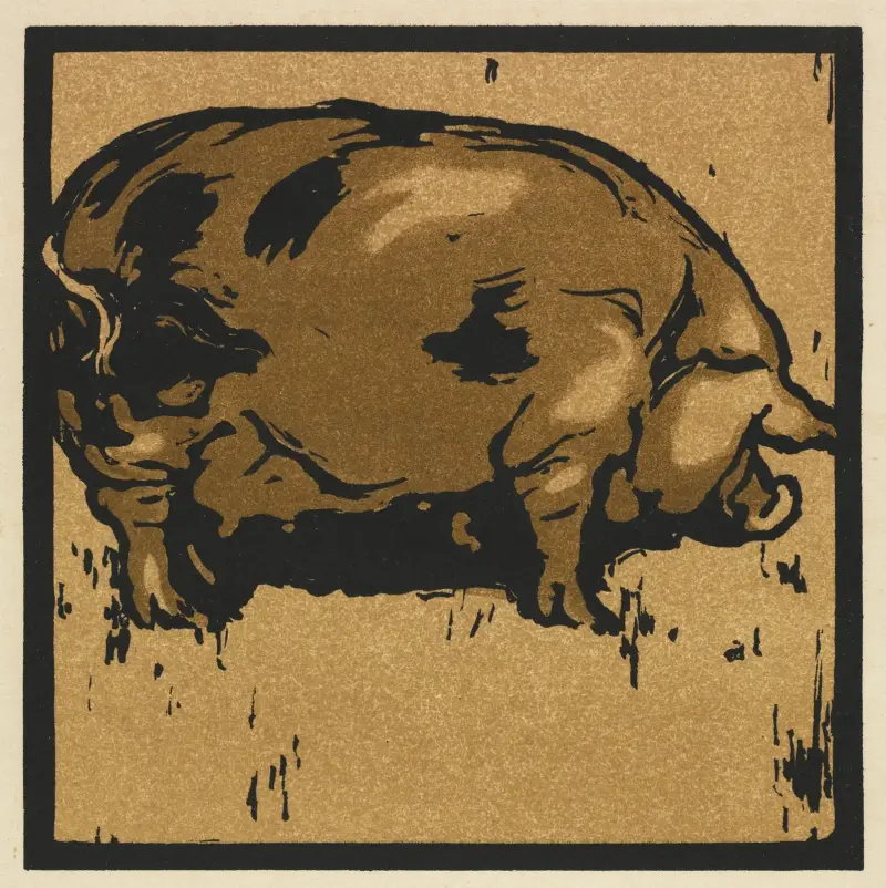 Den lärda grisen av William Nicholson