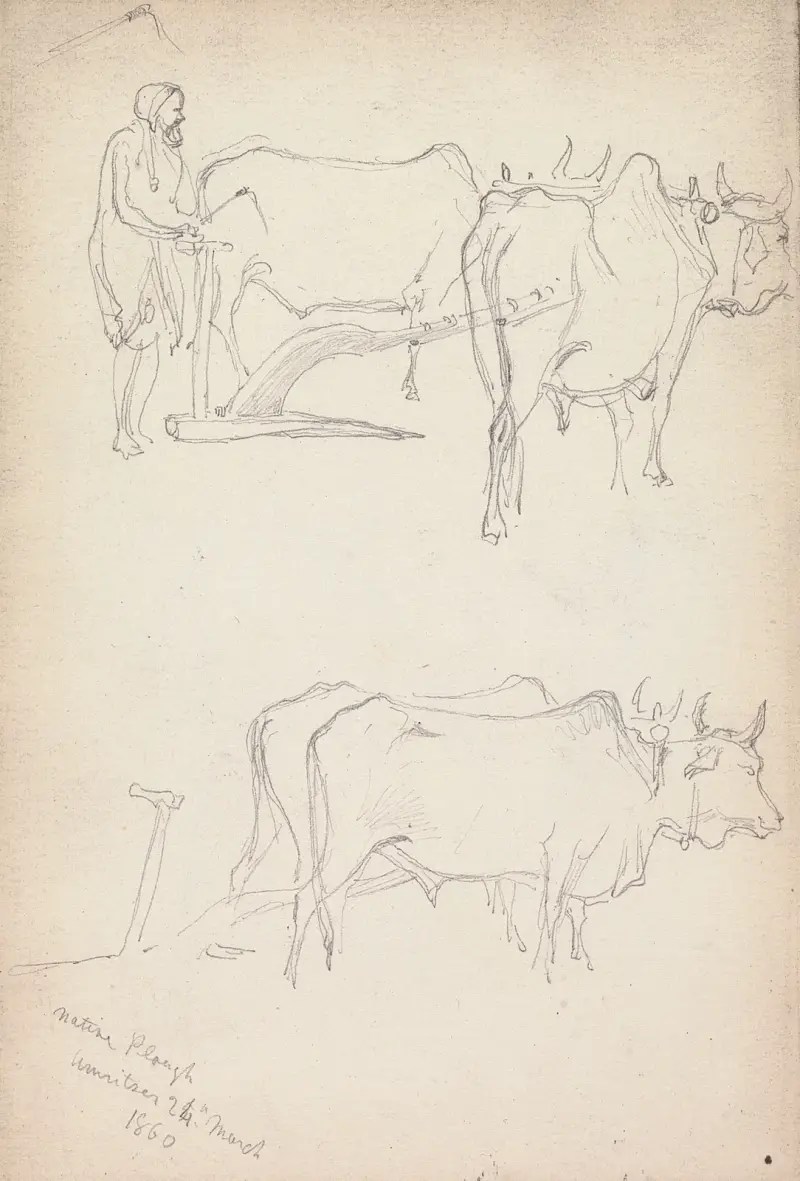 Einheimischer Pflug, Amritsar, 24. März 1860 von William Simpson