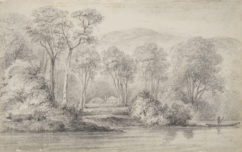 Newry, Mr Molesworth’s, River Hutt av William Swainson