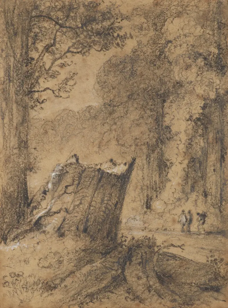 Road through the Hutt Forest, N.Z av William Swainson