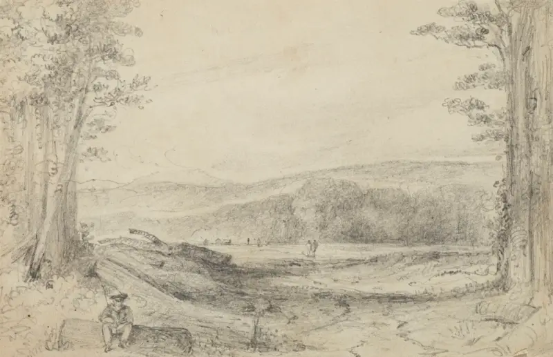 Der Farnboden, Blick hinauf nach Managaroa von William Swainson