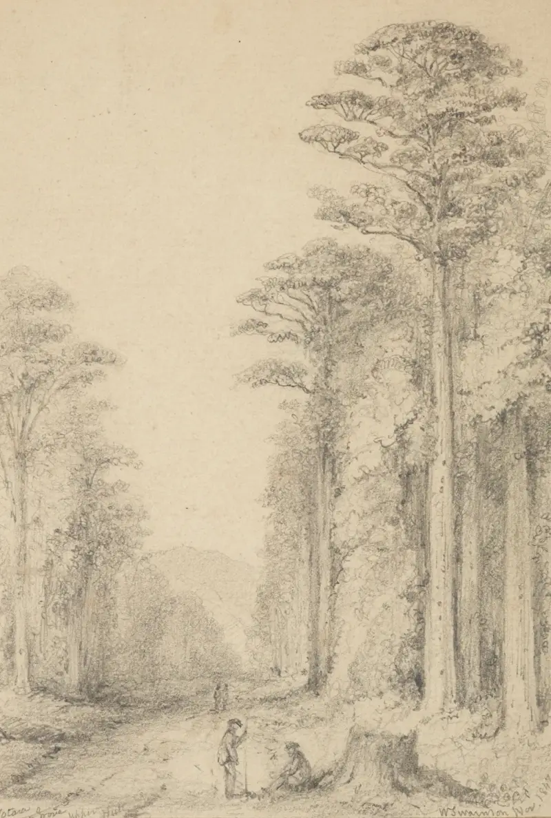 Totara Grove, Upper Hutt av William Swainson
