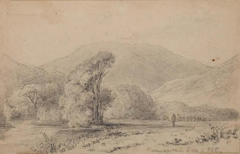 Waikanaedalen och floden av William Swainson