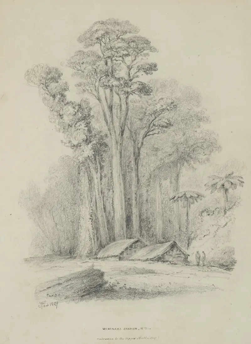 Wirinaki Station von William Swainson