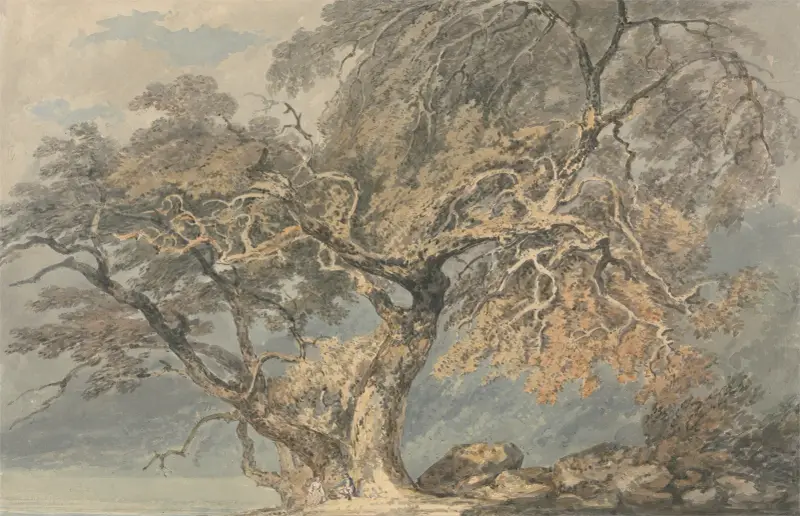 Ein großer Baum von Joseph Mallord William Turner