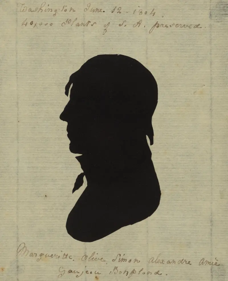 Margueritte Olive Simon Alexandre Ami Goujeou Bonplond av Charles Willson Peale