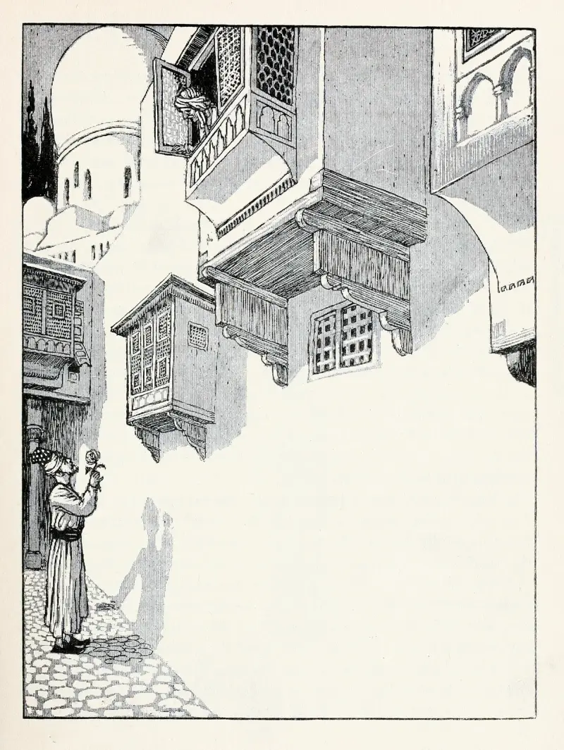 Forty-four Turkish fairy tales Pl 08 av Willy Pogany