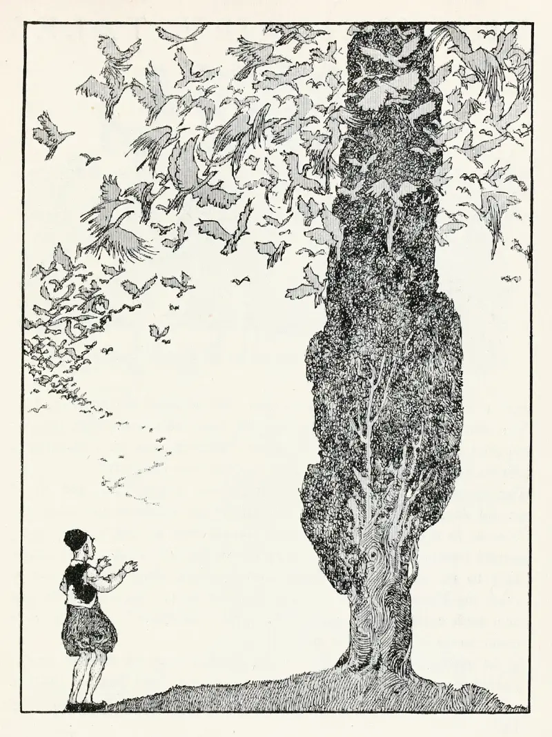 Forty-four Turkish fairy tales Pl 44 av Willy Pogany