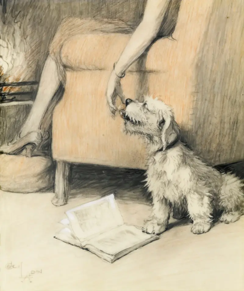 Náklonnost, Cecil Charles Windsor Aldin
