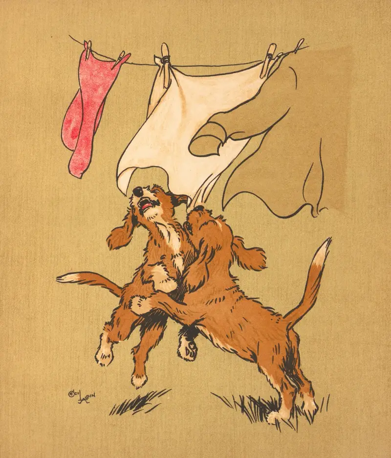 Pranie, Cecil Charles Windsor Aldin