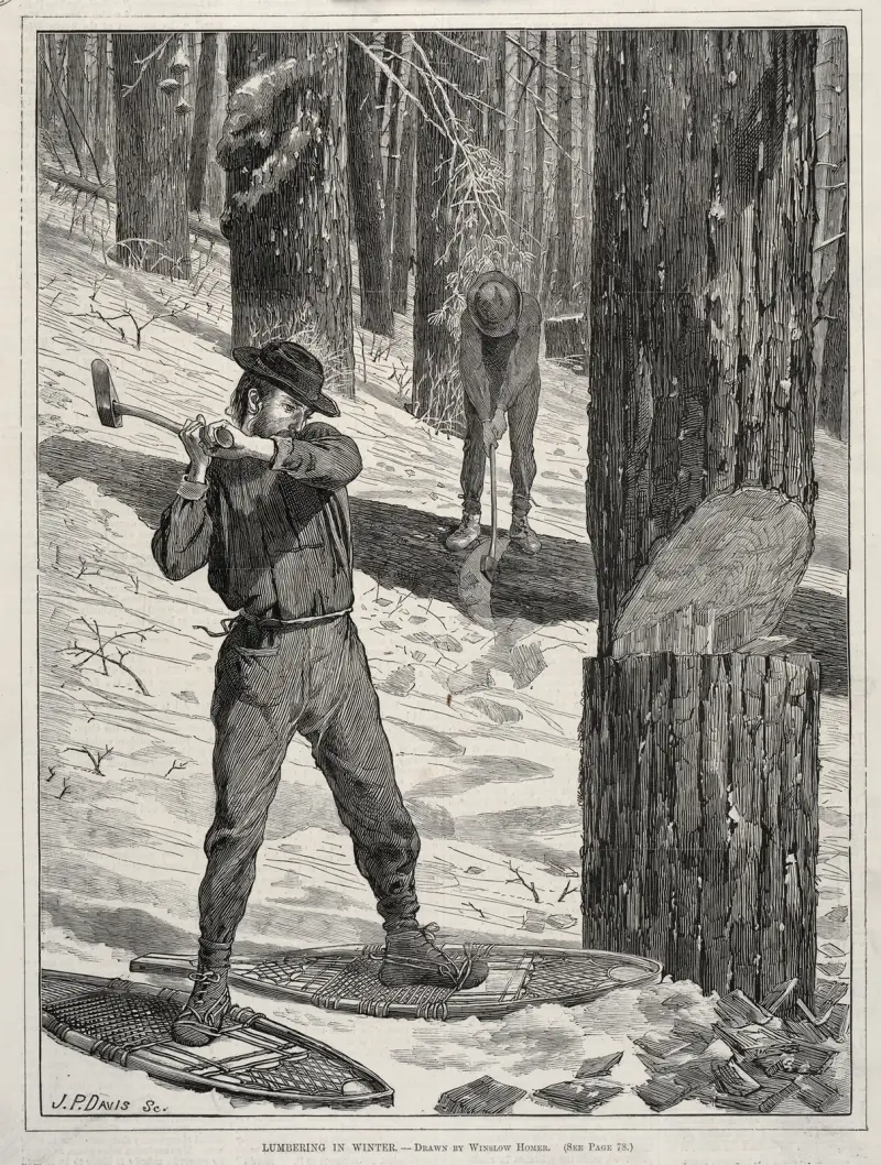 Holzfällen im Winter von Winslow Homer