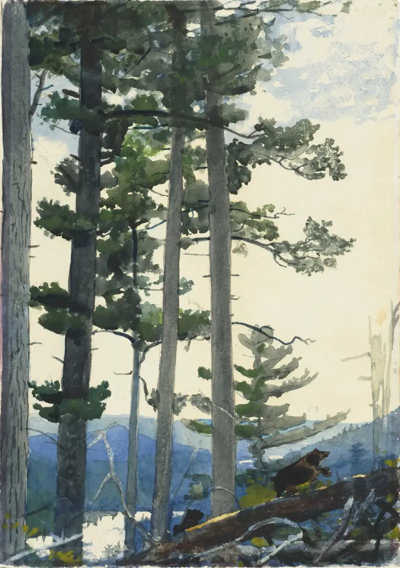 Old Settlers, Winslow Homer