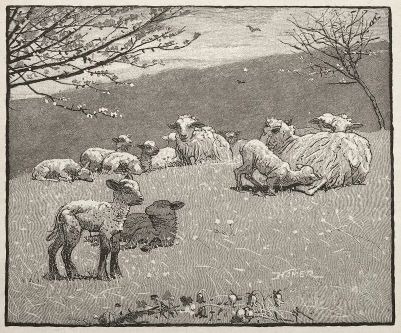 Jarní jehně, Winslow Homer